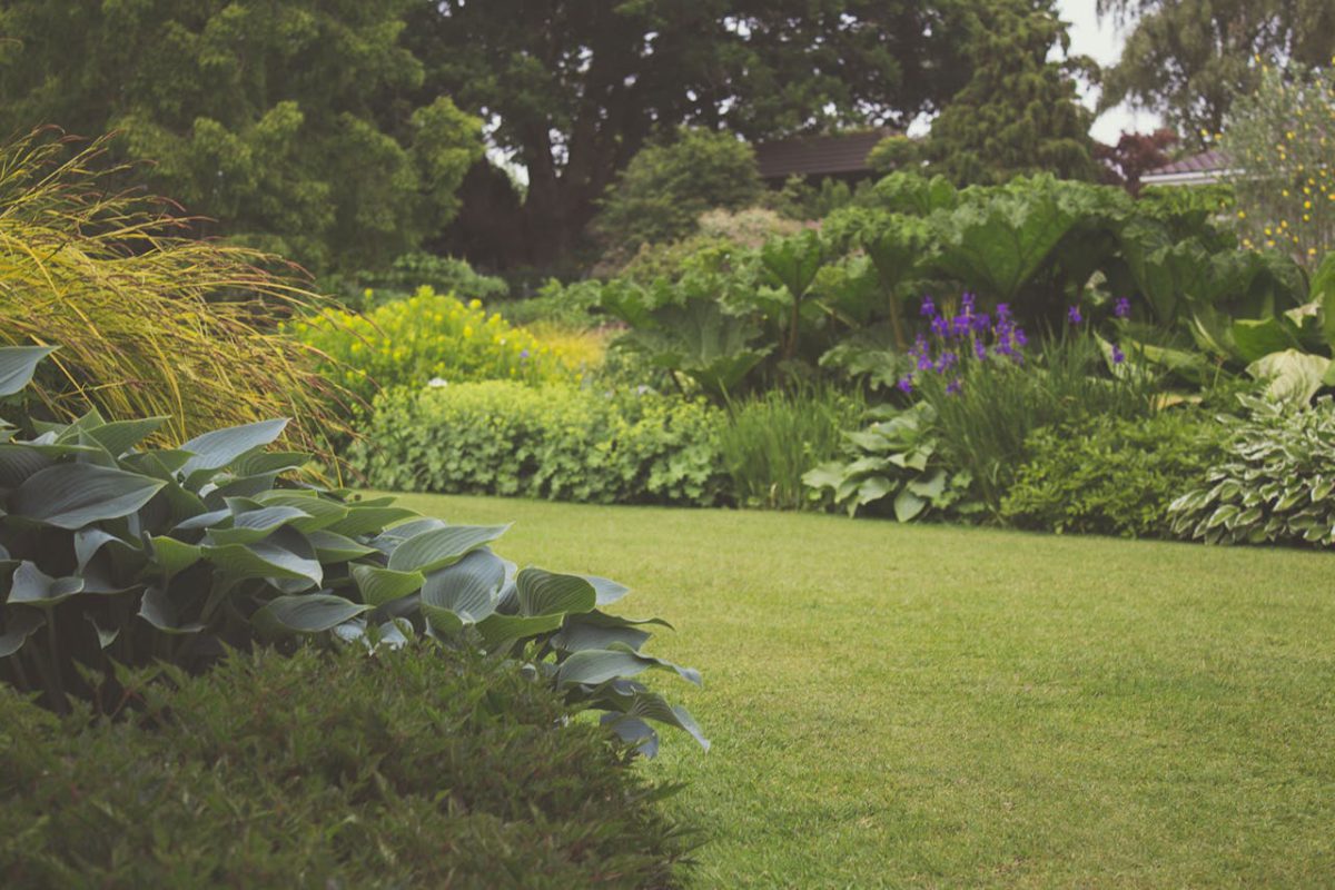 Backyards for Ages